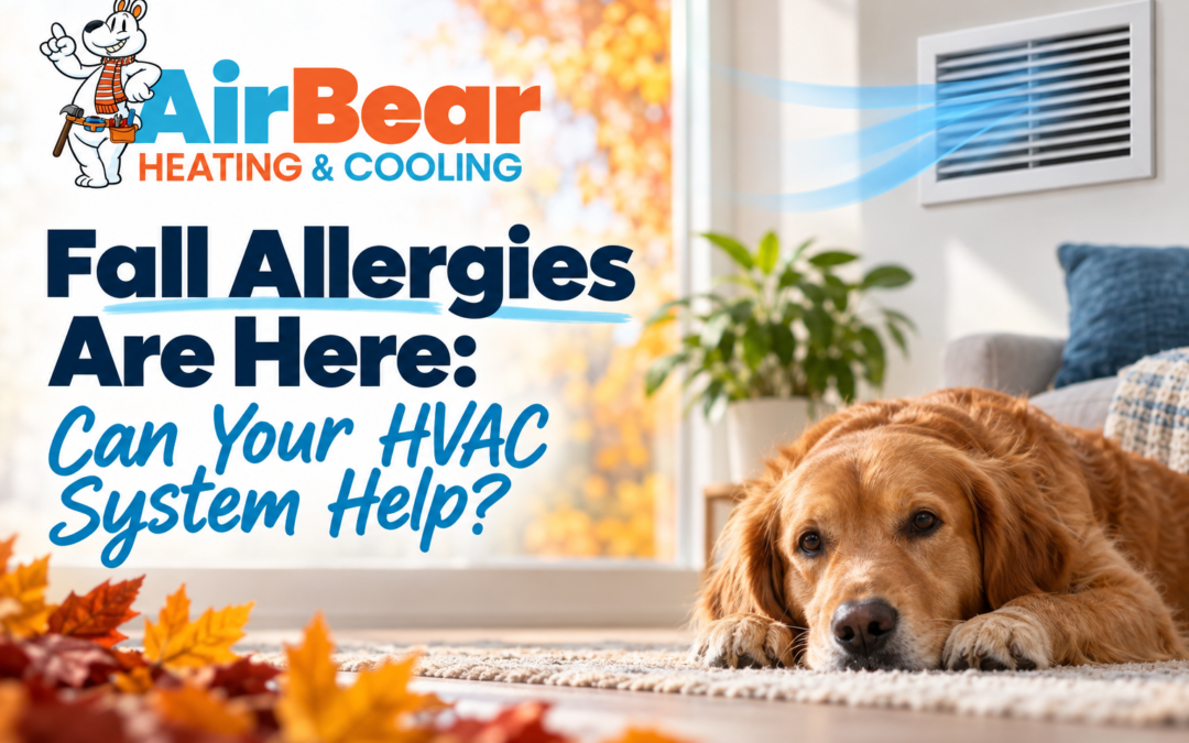 Fall Allergies Are Here: Can Your HVAC System Help?